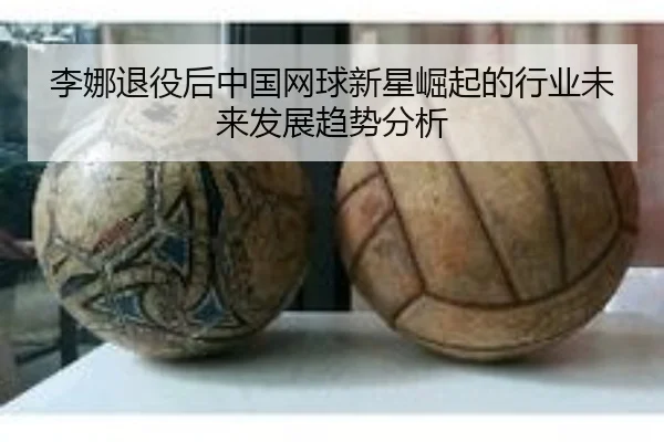 li-na-tui-yi-hou-zhong-guo-wang-qiu-xin-xing-jue-qi-de-hang-ye-wei-lai-fa-zhan-qu-shi-fen-xi-1-151.jpg